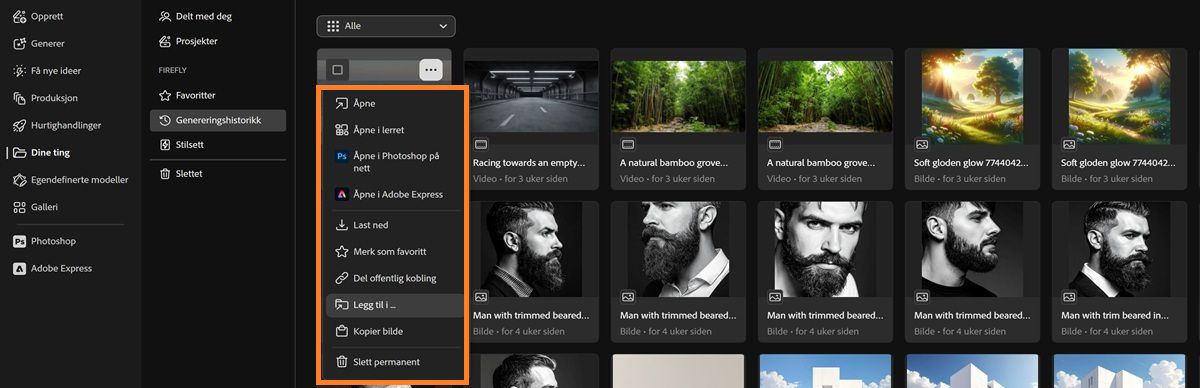 Genereringshistorikk-fanen viser kontekstmenyen for en fil med alternativene Åpne, Åpne i lerreter, Last ned, Del eller Legg til i.