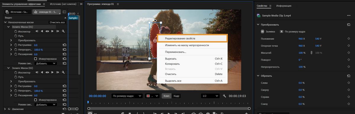 В меню программного монитора, вызываемом щелчком правой кнопки мыши, отображается пункт «Изменить свойства», а слева — «Элементы управления эффектами».