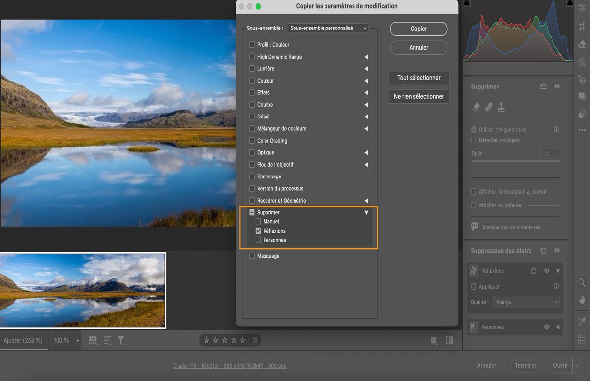 Le menu Copier les paramètres de modification est ouvert avec l’option Reflets sélectionnée.