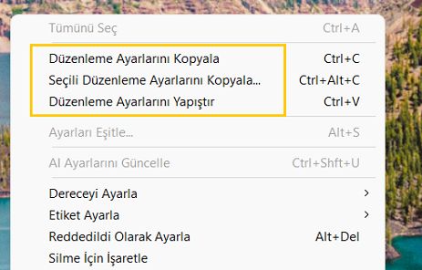 ML maskelerini Kopyalama ve Yapıştırma