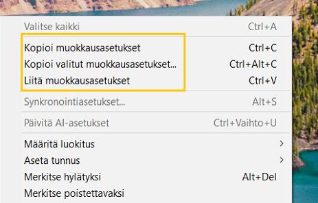 Kopioi ja liitä ML-maskeja