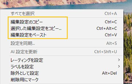ML マスクをコピー＆ペースト