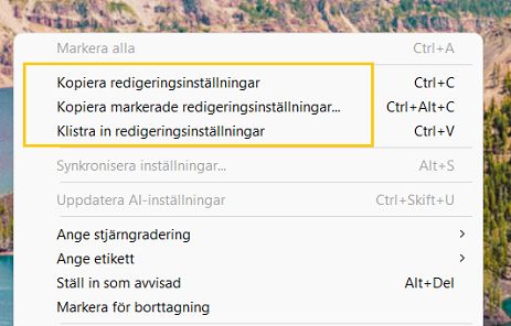 Kopiera och klistra in ML-masker