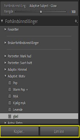 Rediger forhåndsinnstillinger for maskering gruppevis