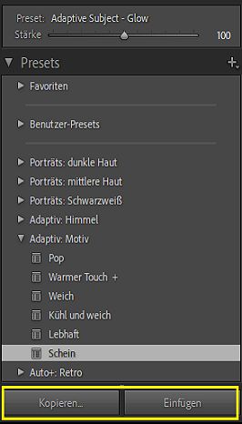 Batch-Bearbeitung für Maskierungs-Presets