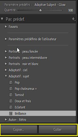 Modification par lot des paramètres prédéfinis de masquage