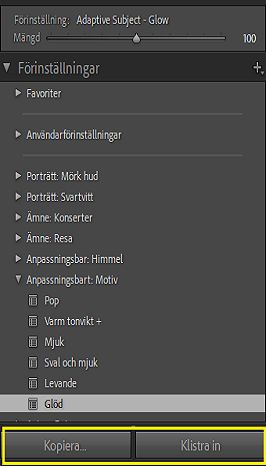 Satsvis redigering av förinställningar för maskering