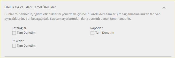 Temel özellik iznini belirleme