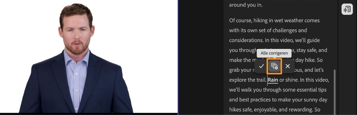 Het tekstbewerkingsdeelvenster markeert een woord en er zijn opties om de geselecteerde tekst te bewerken. De optie Alle corrigeren is gemarkeerd.