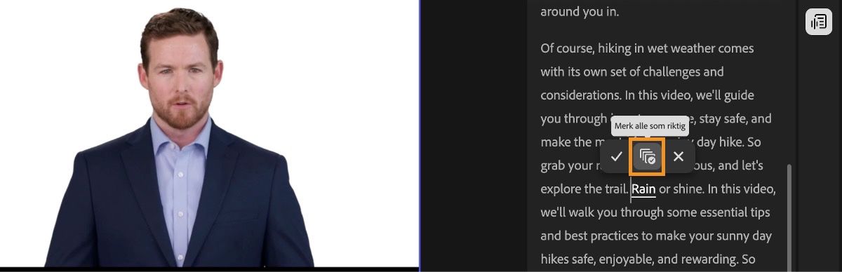 Det tekstbaserte redigeringspanelet markerer et ord, og det finnes alternativer for å redigere den valgte teksten. Alternativet Korriger alle er markert.