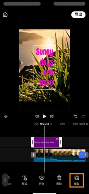 工具栏中的“复制”按钮处于高亮状态，并选中了一个“Sunny days are here”文本片段。