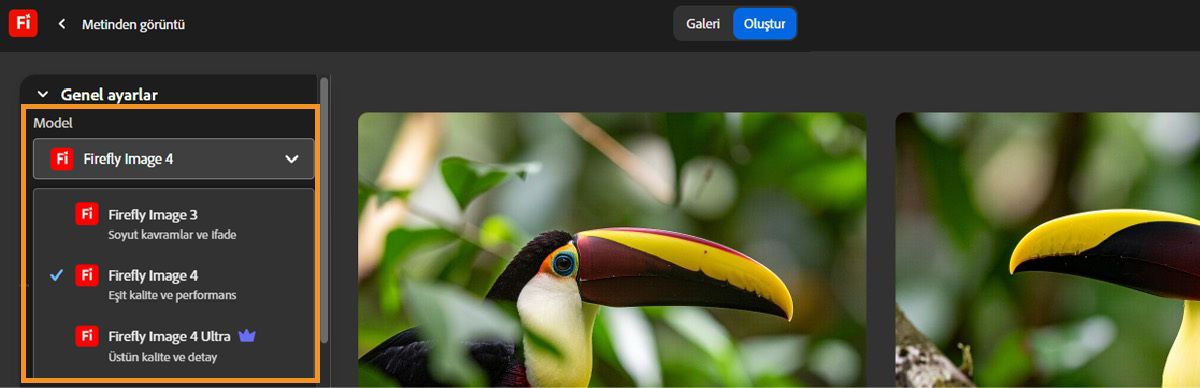 Model açılır menüsü belirir ve farklı Firefly görüntü modelleri listelenir. Şu anda, Firefly Image 4 seçilidir.