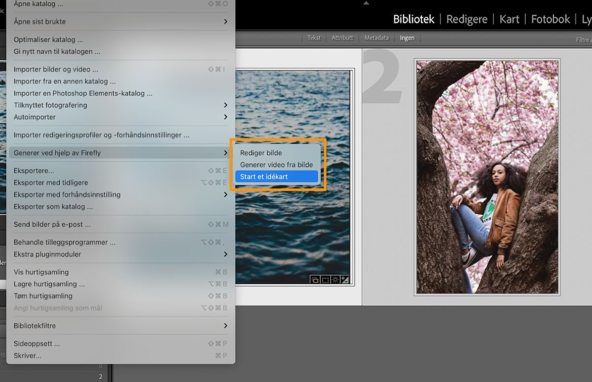 Brukergrensesnitt i lightroom classic som viser alternativet Start et idékart.