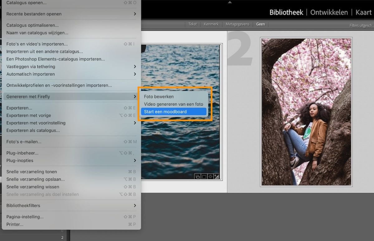 Gebruikersinterface van Lightroom Classic met de optie Moodboard starten.