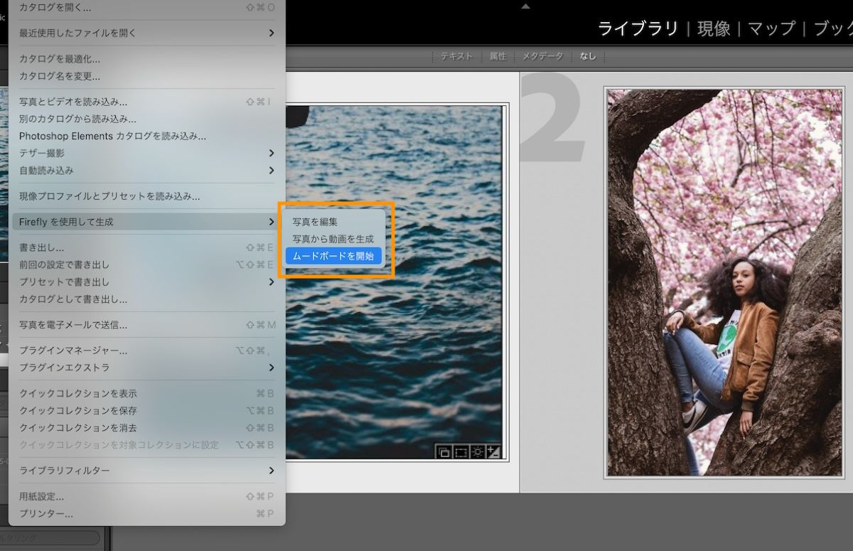 「ムードボードを開始」オプションを表示している Lightroom Classic の UI。