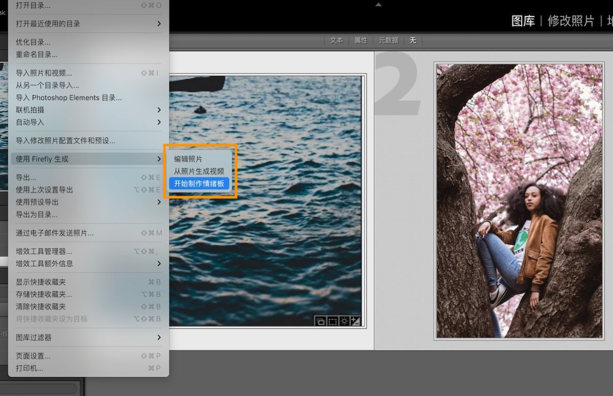 Lightroom Classic 的用户界面显示“开始制作情绪板”选项。