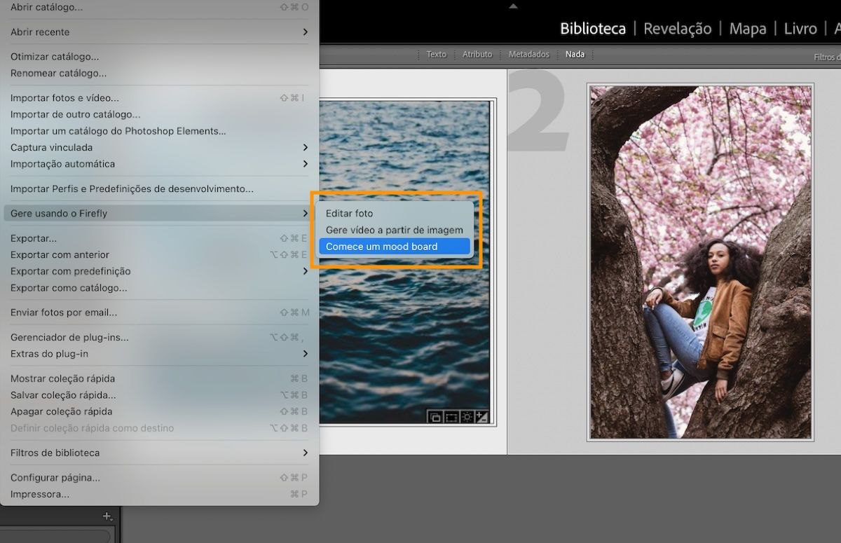 Interface do usuário do Lightroom Classic mostrando a opção Criar um mood board.