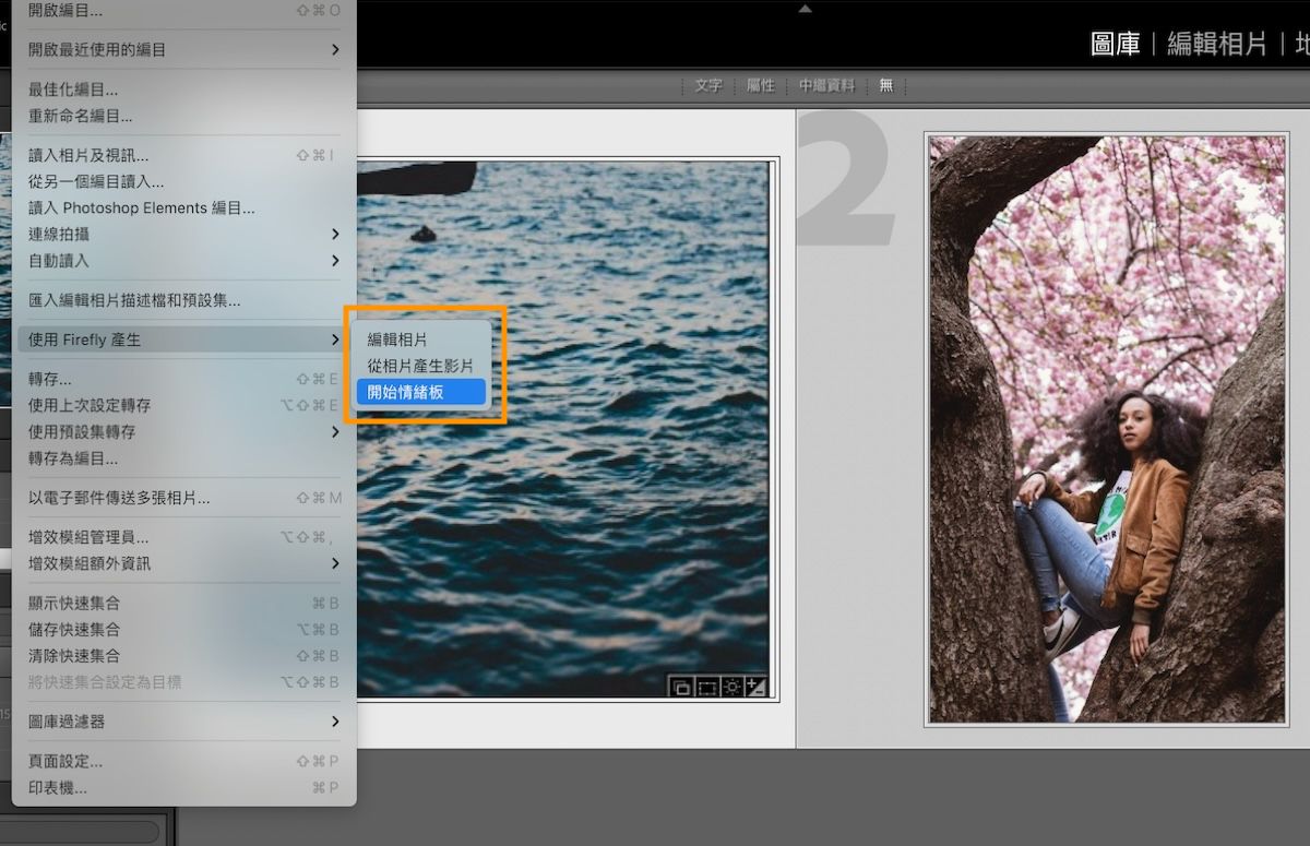 Lightroom Classic 的 UI，顯示「開始情緒板」選項。