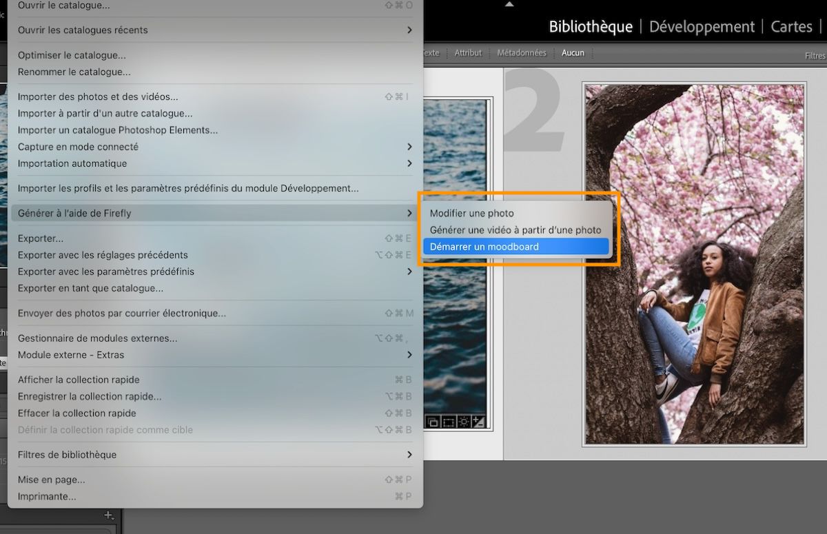 Interface d’utilisation de Lightroom Classic affichant l’option début d’un moodboard.