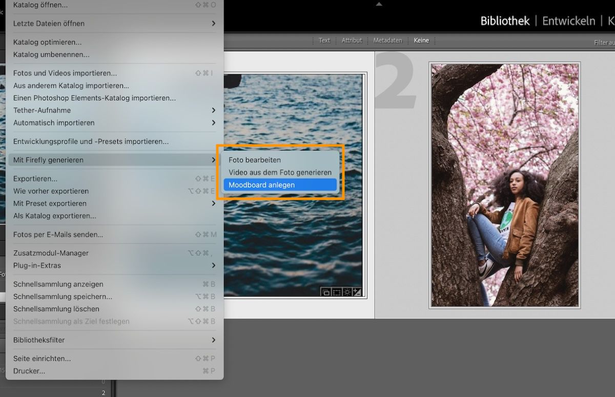Schnittstelle von Lightroom Classic mit der Option „Moodboard anlegen“.