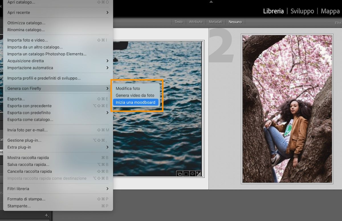 Interfaccia di Lightroom Classic che mostra l'opzione Avvia un moodboard.