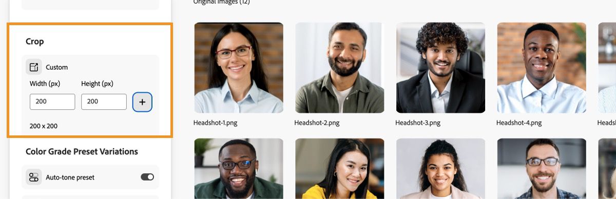 Headshot screen displays the Crop section, where you can specify height and width of the final output in pixels.