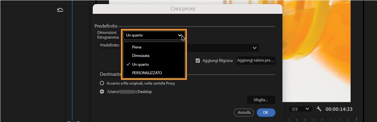 Interfaccia utente della finestra di dialogo Crea proxy che mostra le varie dimensioni dei fotogrammi disponibili