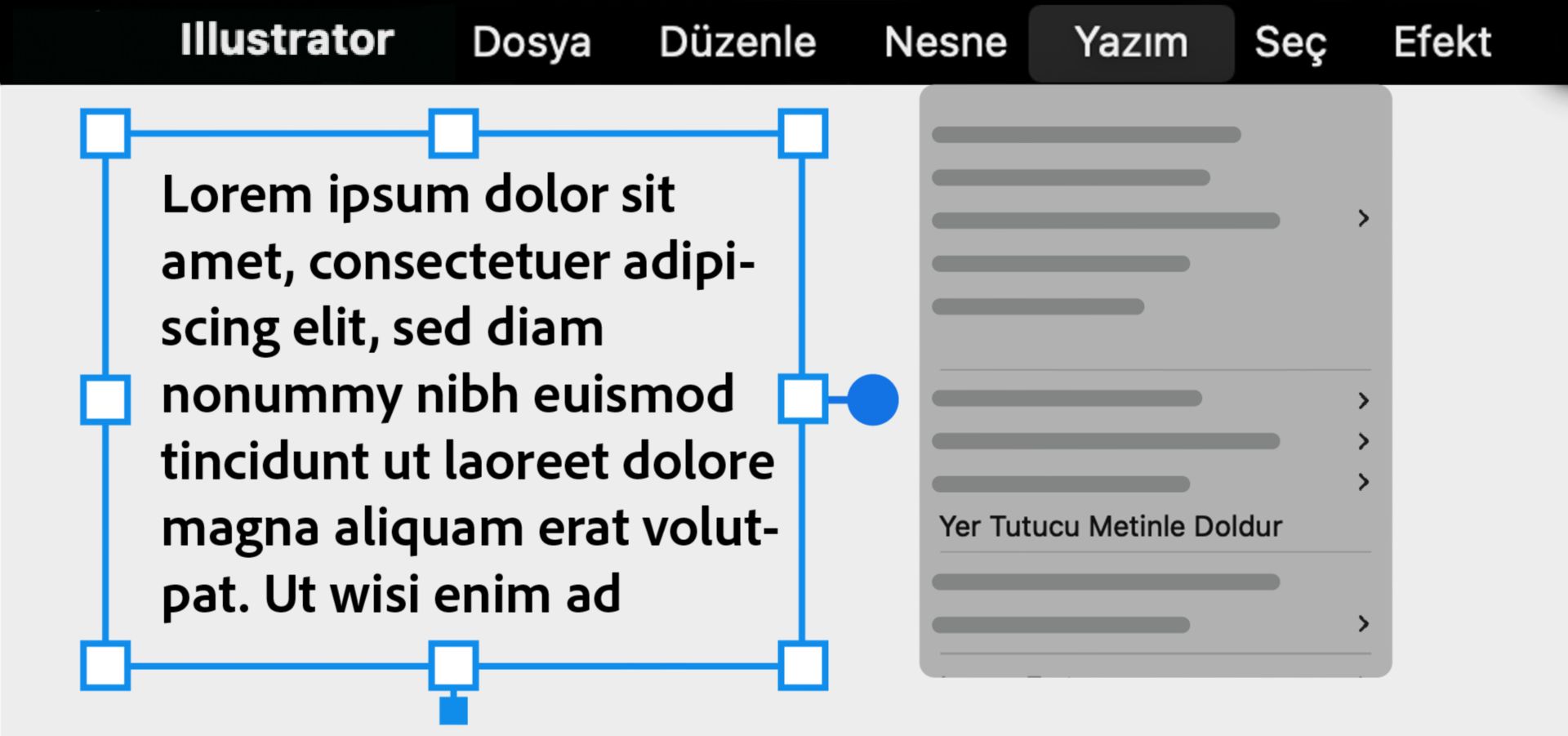 Alanları veya yolları yer tutucu metinle doldurma