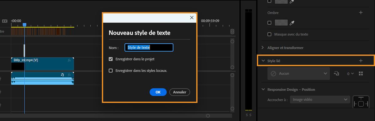 L’interface utilisateur affiche la boîte de dialogue pour ajouter un nouveau style de texte avec les options Enregistrer dans le projet et Enregistrer dans les styles locaux en surbrillance.