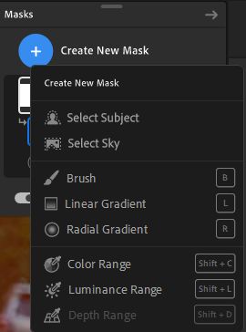 Outils de masquage dans Lightroom pour poste de travail