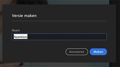 Eenvoudig een versie maken in Lightroom voor desktop