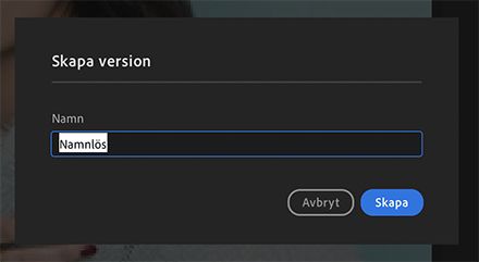 Skapa Version i Lightroom för datorer