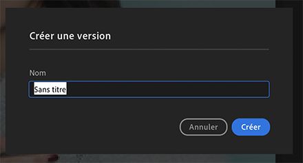 Création facile d’une version dans Lightroom pour poste de travail