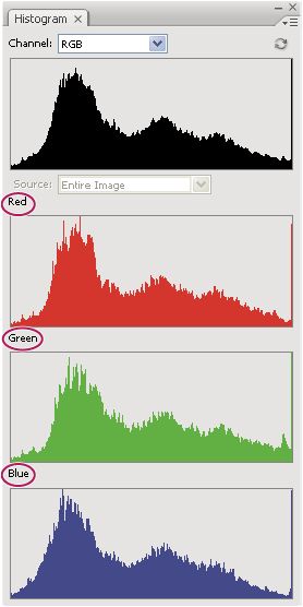 لوحة Histogram في Photoshop مع عرض القنوات بالألوان