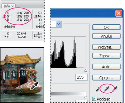 Wartości kolorów w obrazie programu Photoshop
