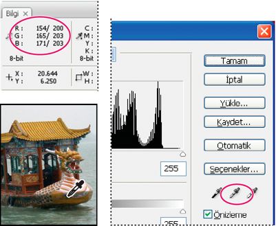 Görüntüdeki Photoshop renk değerleri