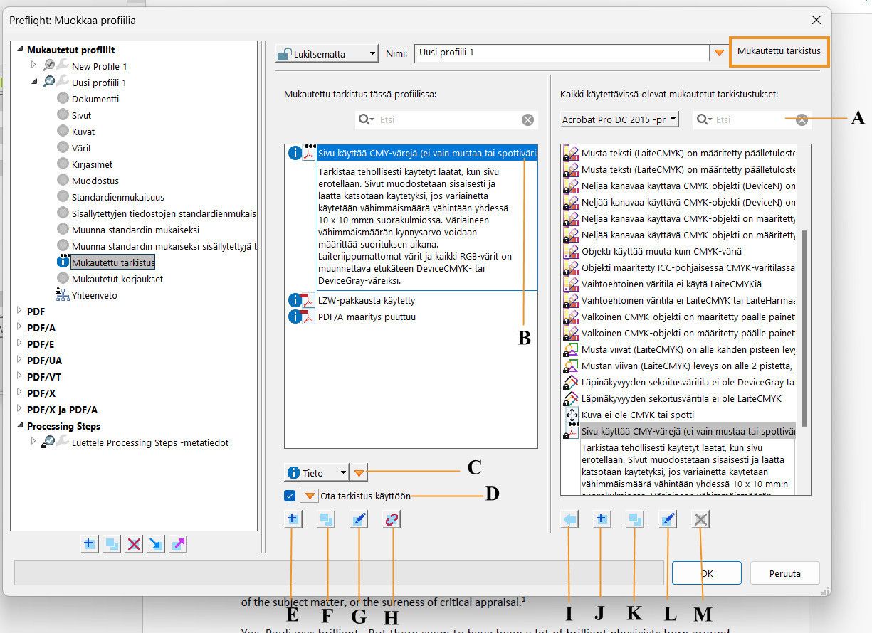 Preflight-valintaikkuna tulee esiin, ja mukautettujen tarkistusten ominaisuudet näkyvät korostettuina.