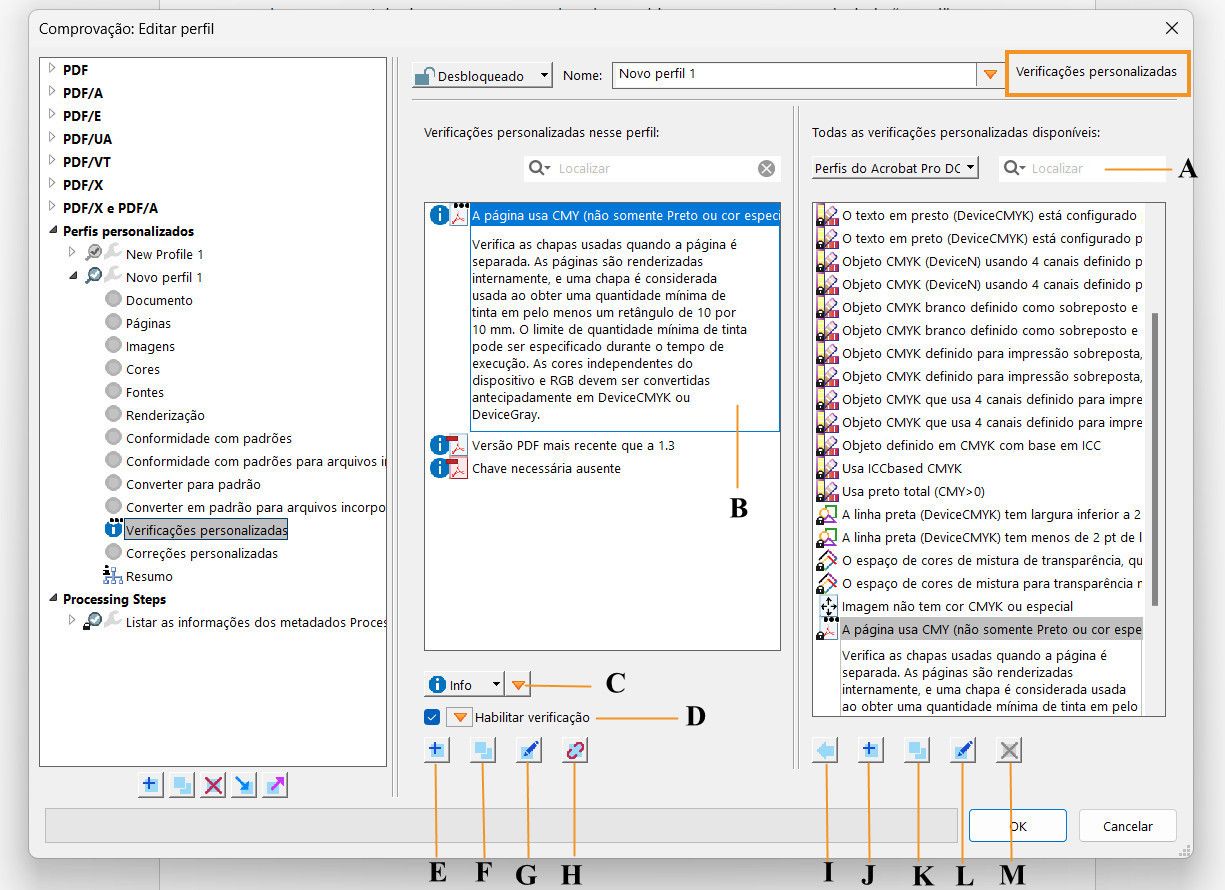 A caixa de diálogo Comprovação é exibida e os recursos das verificações personalizadas são realçados