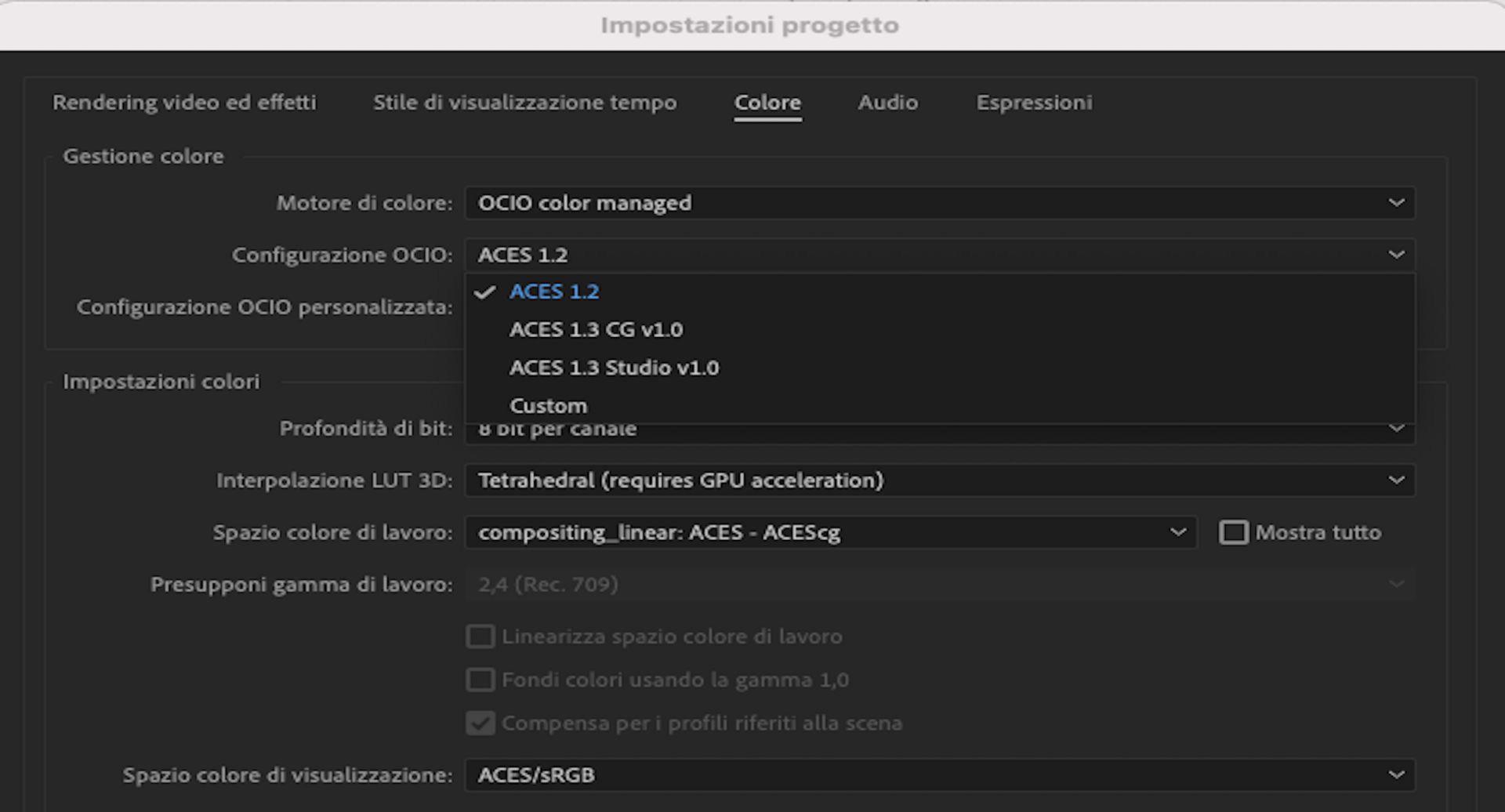 Configurazione OCIO personalizzata per aggiungere una configurazione personalizzata