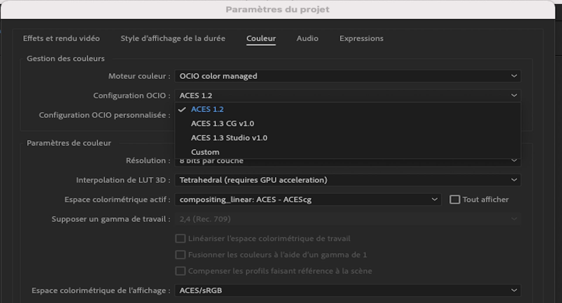 Configuration OCIO personnalisée pour ajouter une configuration personnalisée