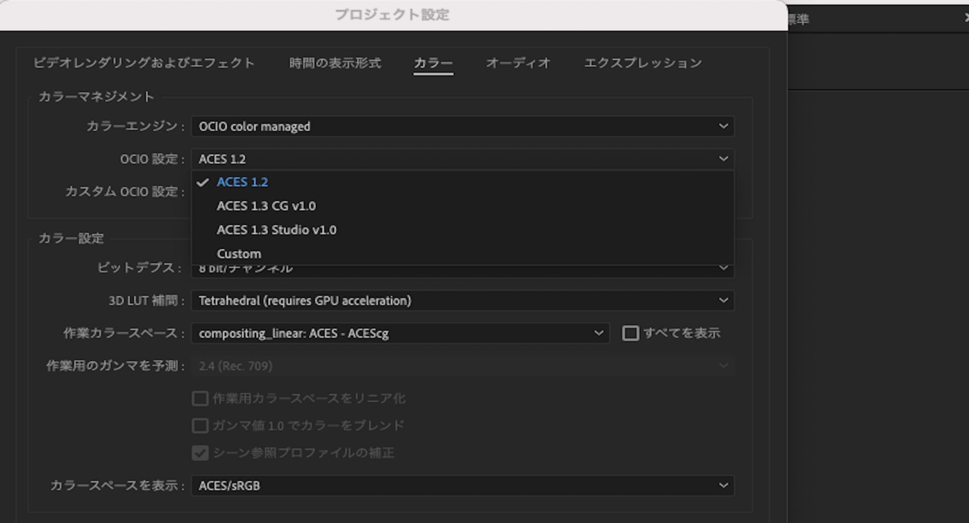 カスタム設定を追加するためのカスタム OCIO 設定