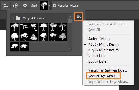 Özel şekil seçici