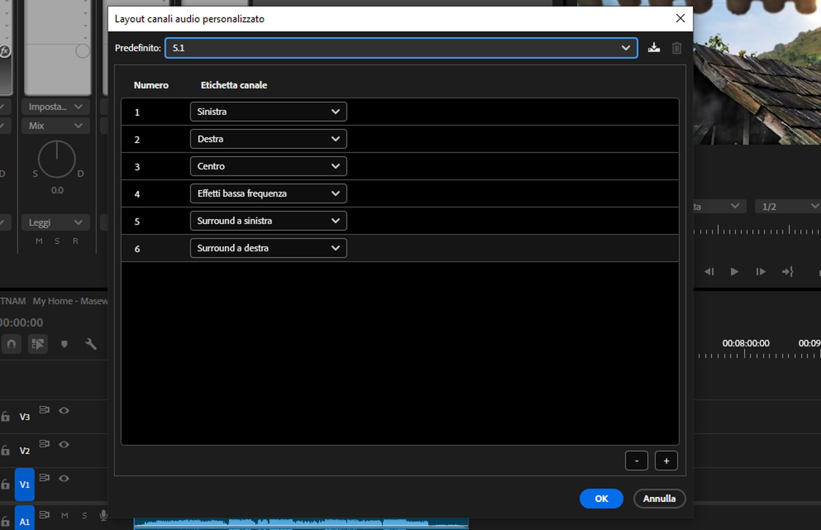 La finestra di dialogo Layout canale audio personalizzato è aperta e visualizza diversi canali.