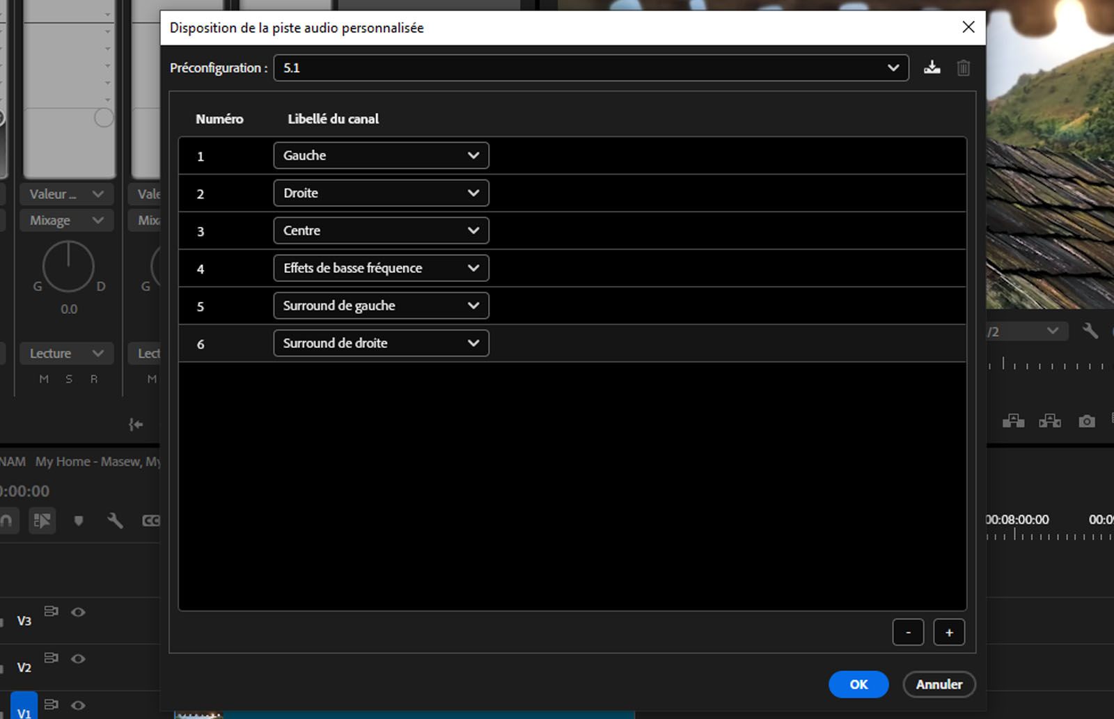 La boîte de dialogue Disposition personnalisée des canaux audio est ouverte, affichant différents canaux.