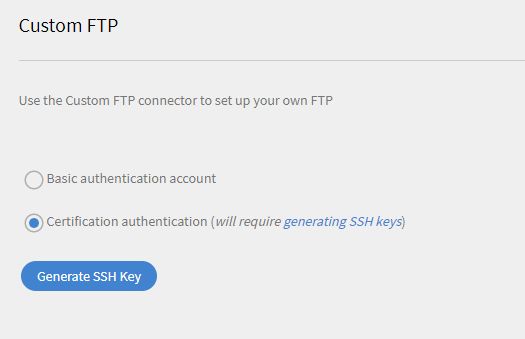 カスタム FTP 認証オプション