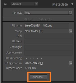 anpassa metadatapanelen