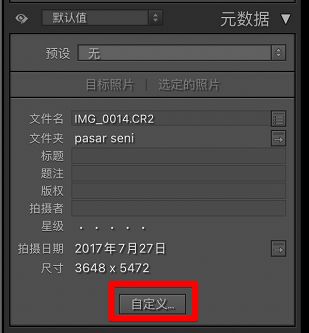 自定义“元数据”面板