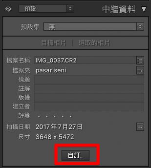 自訂中繼資料面板