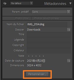 personnaliser le panneau de métadonnées