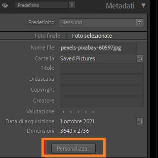 personalizza pannello metadati